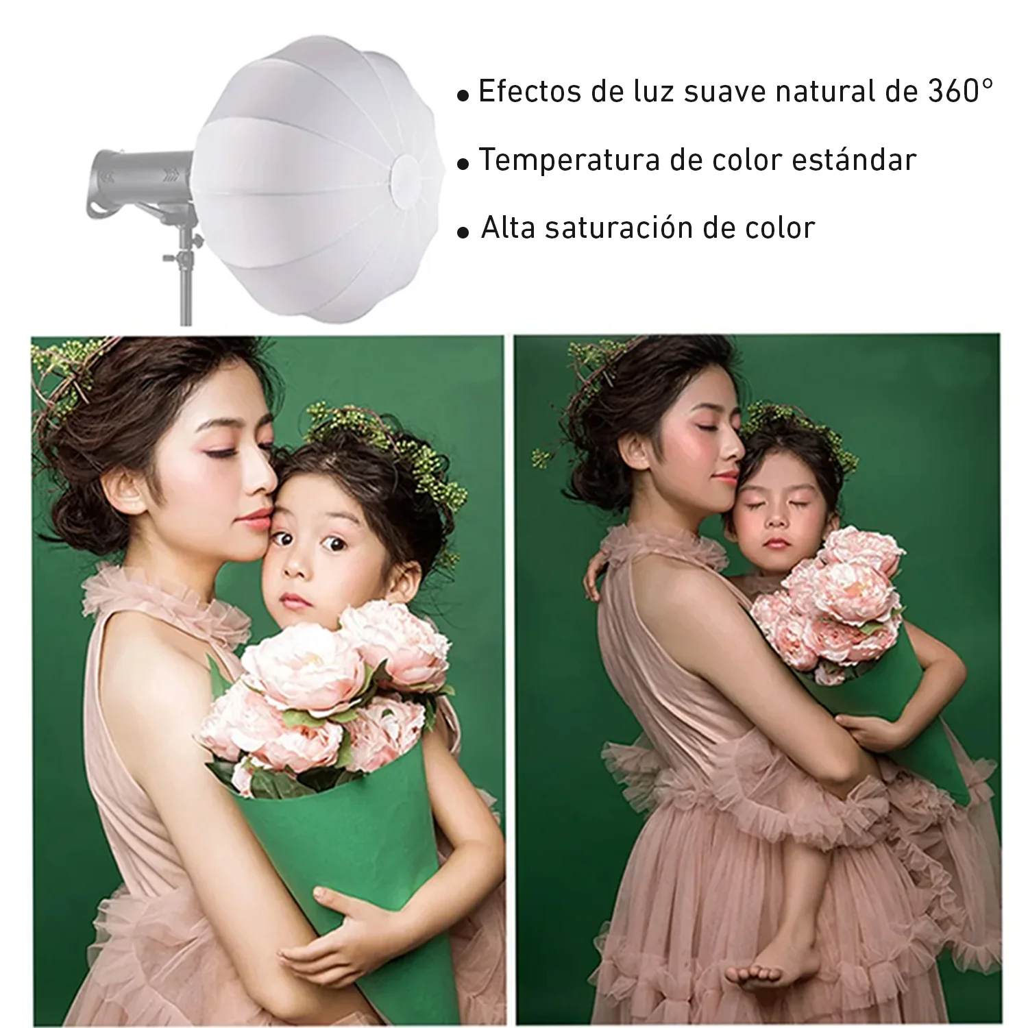 Lámpara esférica luz LED con trípode para estudio fotográfico RL09 - Image 3